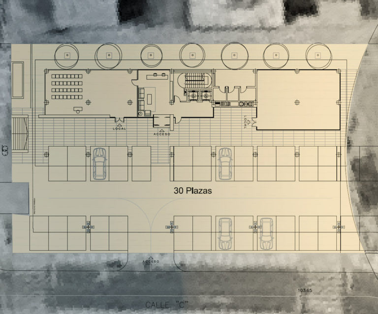 Centro de Negocios Carrida Plaza